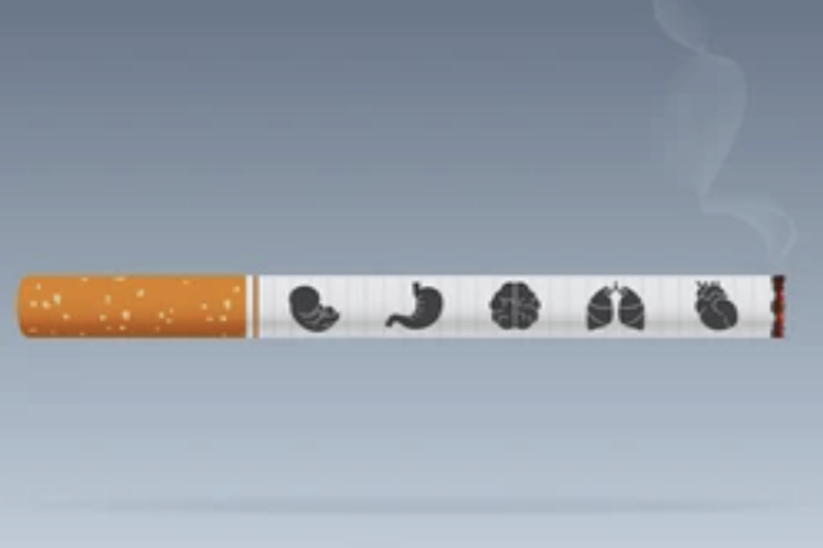 Tobacco & Tuberculosis A Fatal Combination GGTC